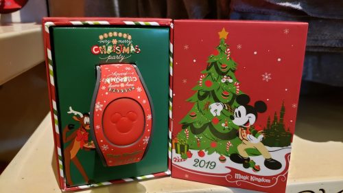MagicBand
