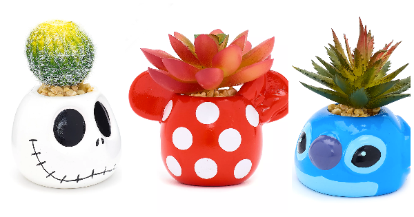 Disney Succulent Potted Plants
