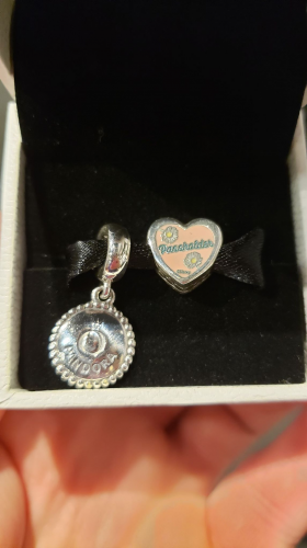 Annual Passholder Pandora Charms