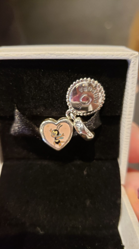 Annual Passholder Pandora Charms
