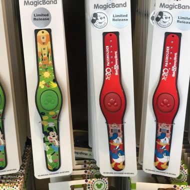 Summer MagicBands