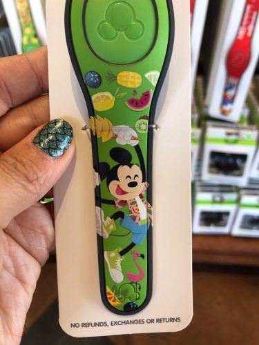 Summer MagicBands