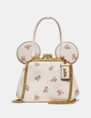 Disney Coach Collection