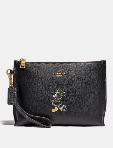 Disney Coach Collection