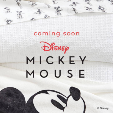 Mickey Mouse Pottery Barn Collection