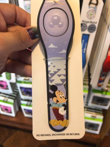 New MagicBands