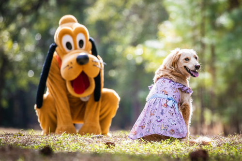 Disney Pets Collection