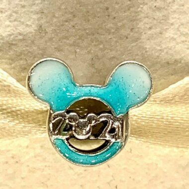 Disney Pandora Charms