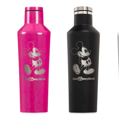 Magical Corkcicle Canteens