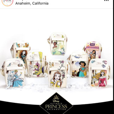 Disney Princess Passport Bags