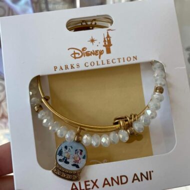Alex and ani snow globe