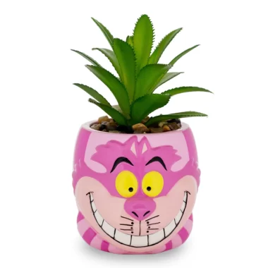 Tiny Disney Succulent Planters