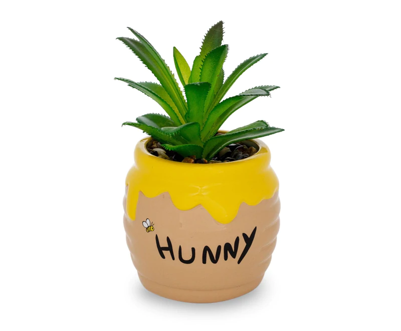 Tiny Disney Succulent Planters 