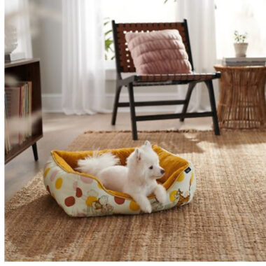 Winnie the Pooh pet supplies