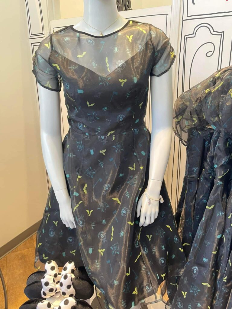 Disney Ride Themed Merchandise