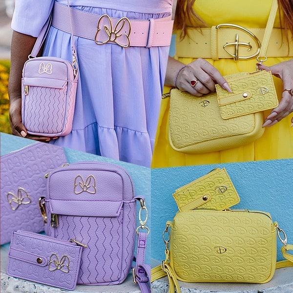 Colorful Signature D Collections