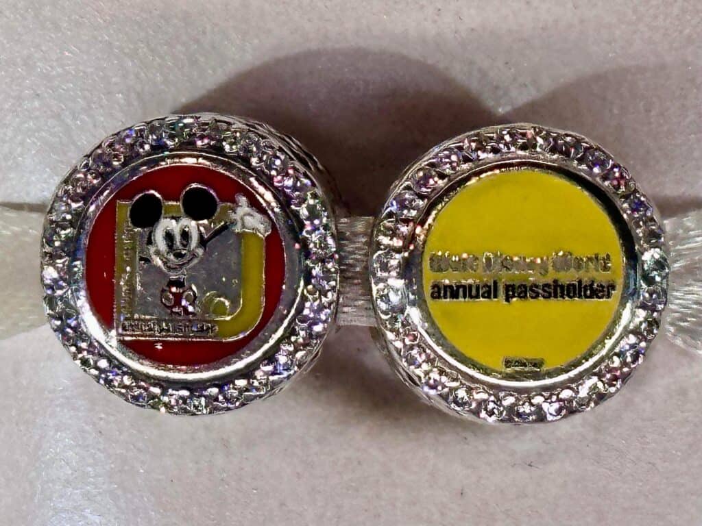 Disney Annual Passholder Pandora Charm 