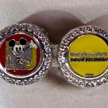 Disney Annual Passholder Pandora Charm