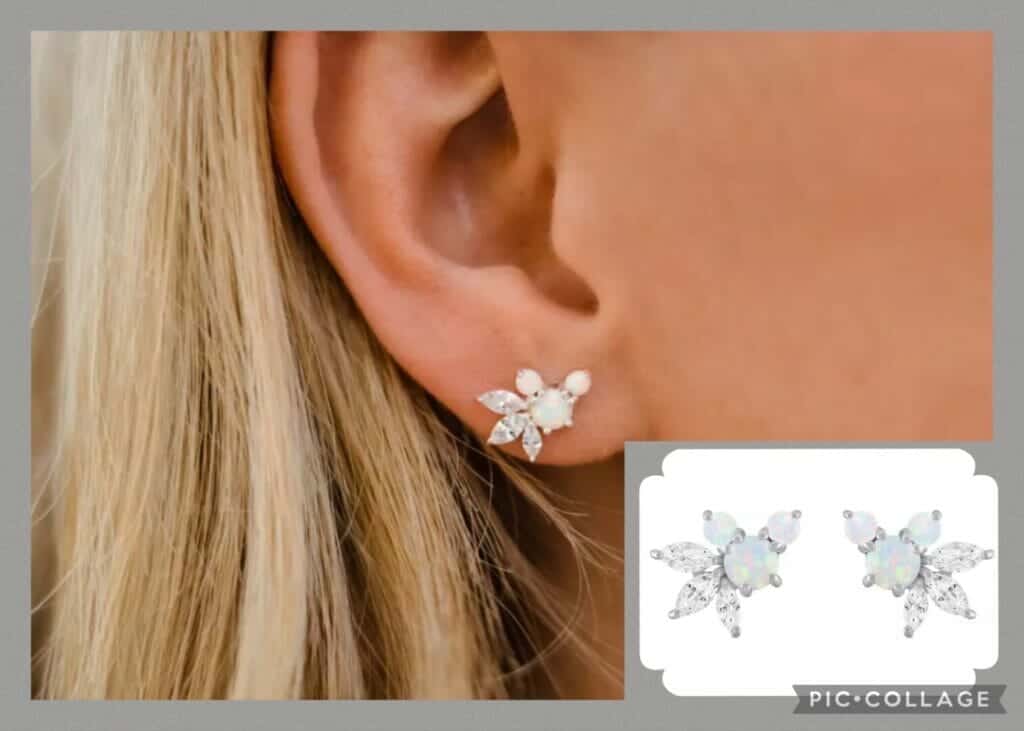 ☆Rebecca Hook☆パーク限定 ミッキー＆三日月 ピアス New