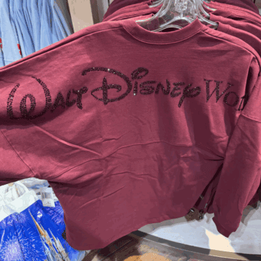 Walt Disney World sweatshirt with rhinestone logo, pink sweatshirt, Disney fashion, Disney merchandise, casual Disney apparel.