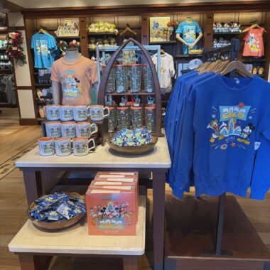 Disney’s 2026 apparel, mugs, and souvenirs at The Disney Fashionista store.