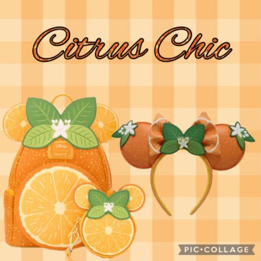Orange citrus accessories for Disney fans, including backpack, headband, and coin purse.