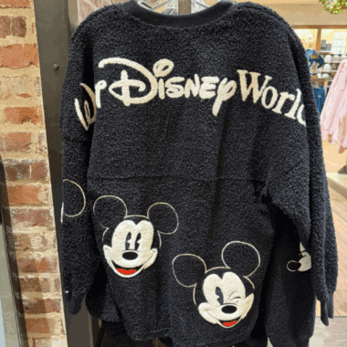 Soft Mickey Mouse Disney World sweatshirt.