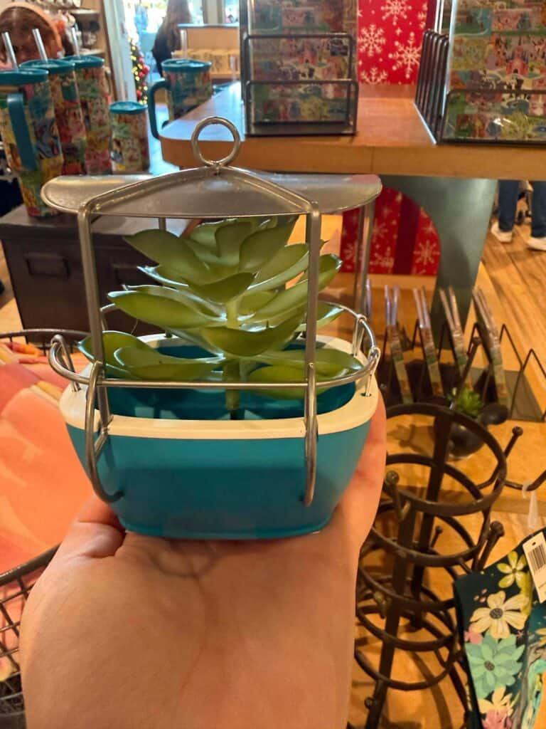Vibrant mini succulent in a teal camping lantern decor, perfect for Disney-themed home or garden accents.
