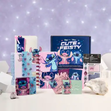 Cute Disney Lilo & Stitch stationery set with notebooks, stickers, and accessories for kids.