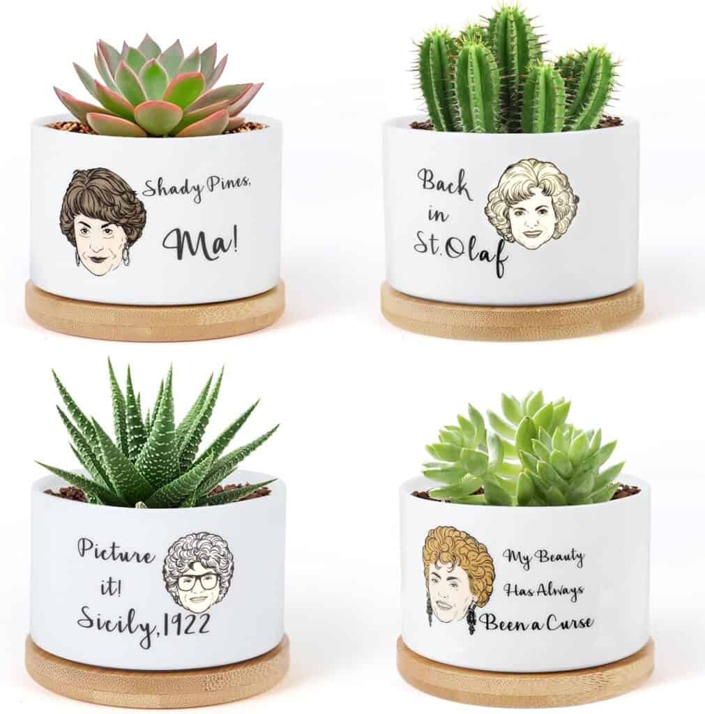 Decorative succulent pots featuring Disney characters and humorous quotes, perfect for home or offic.
