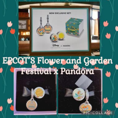 Disney Flower and Garden Festival Pandora charms set.
