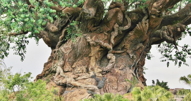 tree-of-life