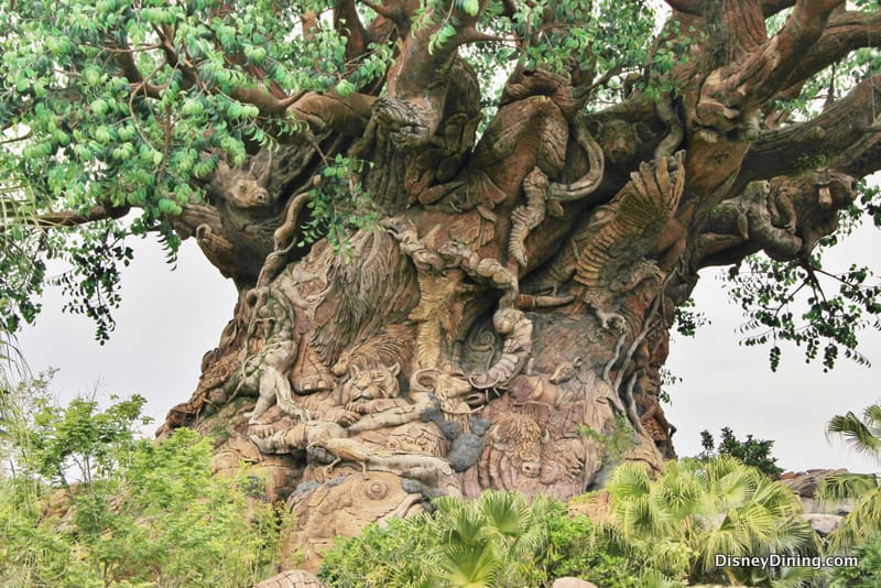 tree-of-life