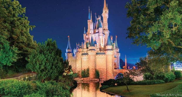 magic-kingdom-night