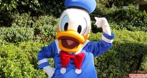 Donald Duck at the Park