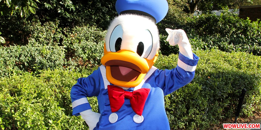 Donald Duck
