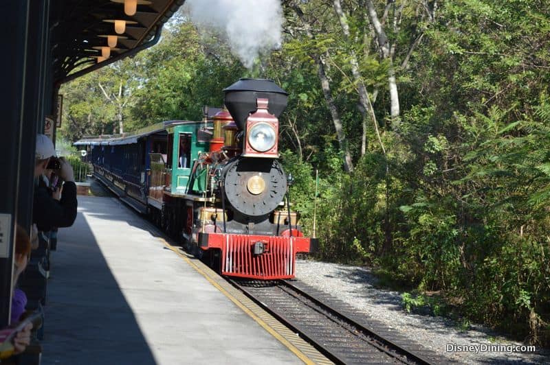 train-disney-world