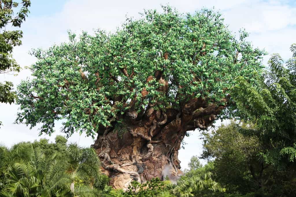The Tree of Life at Disney’s Animal Kingdom, its trunk adorned with animal carvings and surrounded by lush greenery.
