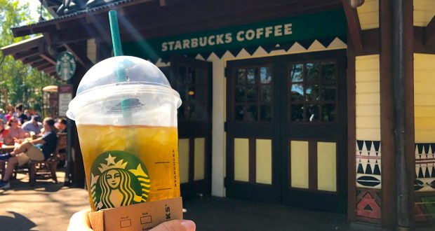 Starbucks iced drink held up in front of the Starbucks Coffee shop at Walt Disney World, glowing under sunny Florida skies.
