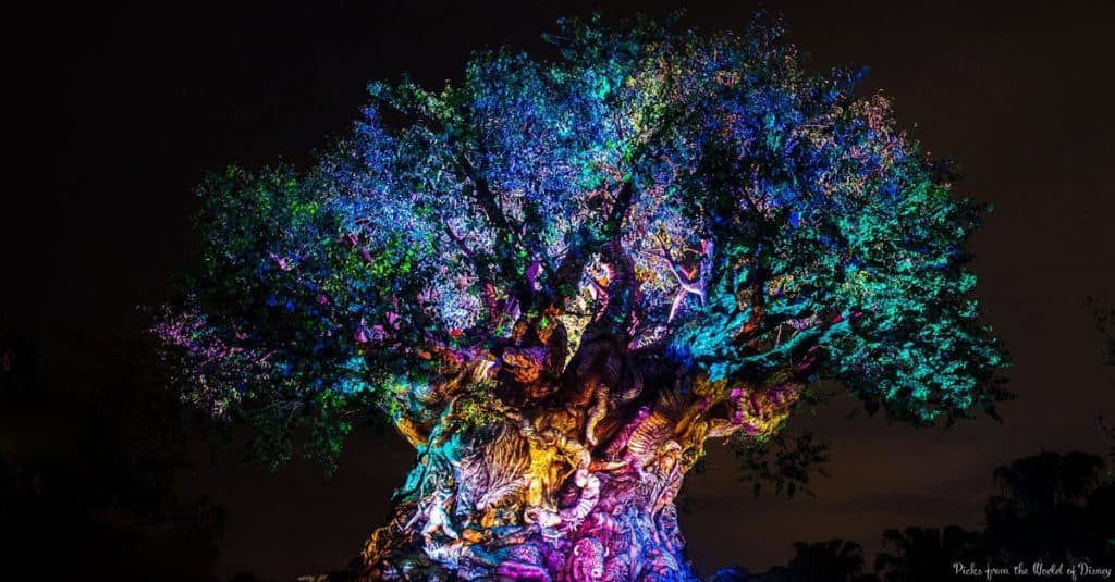 The Tree of Life at Disney’s Animal Kingdom glows with vibrant nighttime lights, its trunk detailed with magnificent animal carvings.
