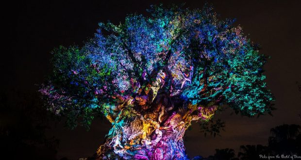 The Tree of Life at Disney’s Animal Kingdom glows with vibrant nighttime lights, its trunk detailed with magnificent animal carvings.