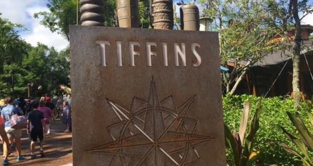 tiffins-animal-kingdom