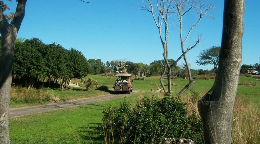 safari-animal-kingdom