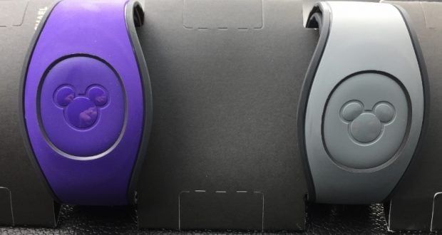 Purple and gray Disney MagicBands with Mickey Mouse icons, side by side on black, hint at the magic awaiting guests in the parks.