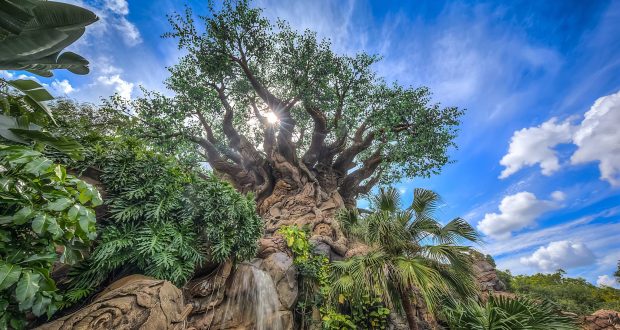 tree of life