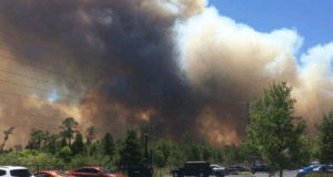 Smoke rises from a brush fire near parked cars under blue skies in Central Florida, close to the magic of Walt Disney World.