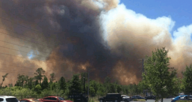 Smoke rises from a brush fire near parked cars under blue skies in Central Florida, close to the magic of Walt Disney World.
