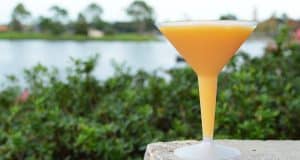 Epcot France Grand Marnier Slush Lake of Nations Background 1