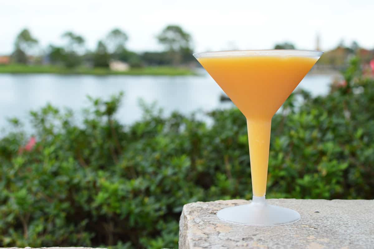 Epcot France Grand Marnier Slush Lake of Nations Background 1