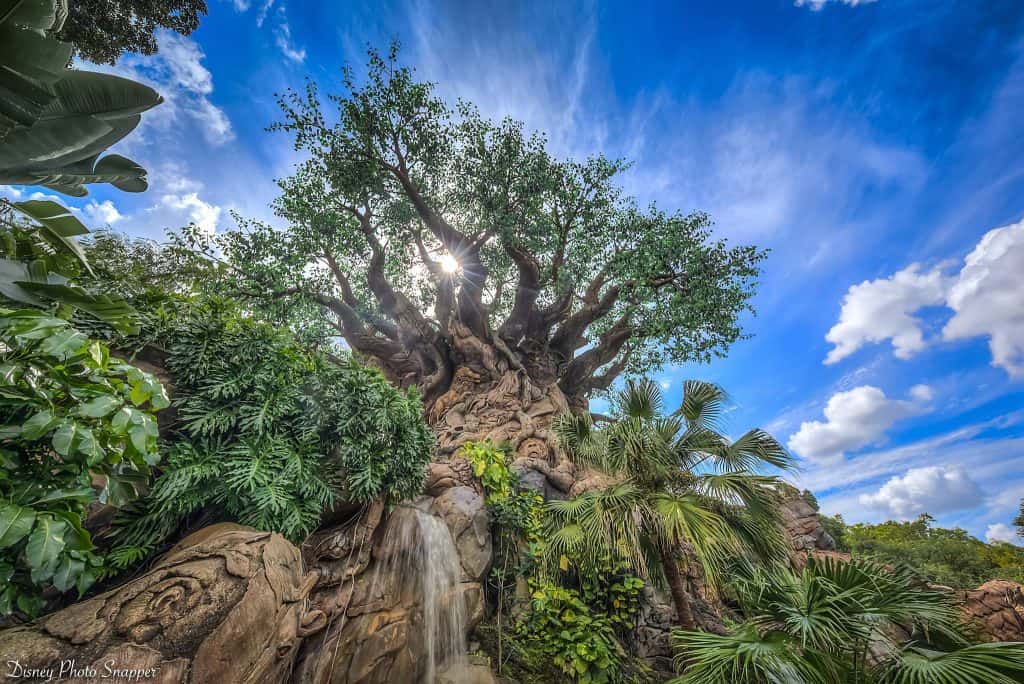 The Tree of Life at Disney’s Animal Kingdom, featuring intricate animal carvings, stands tall amid vibrant foliage and clear skies.